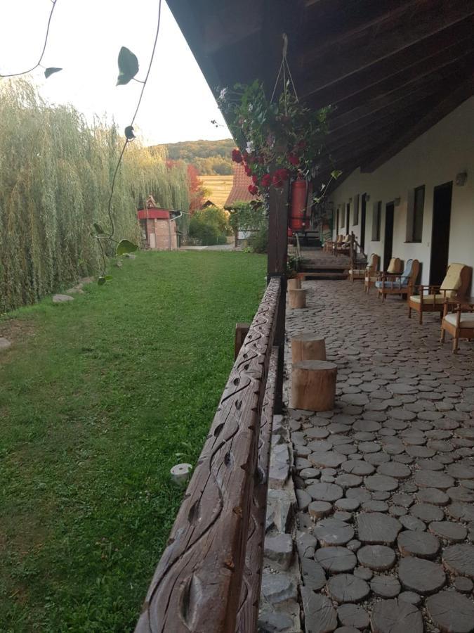 Vila Sura Razoare Sighişoara Exterior foto