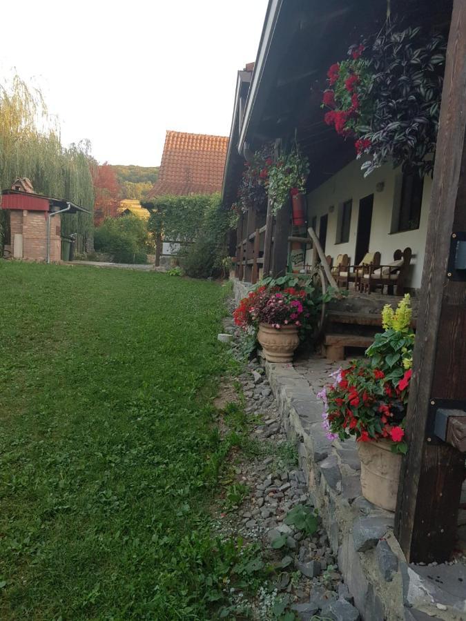 Vila Sura Razoare Sighişoara Exterior foto
