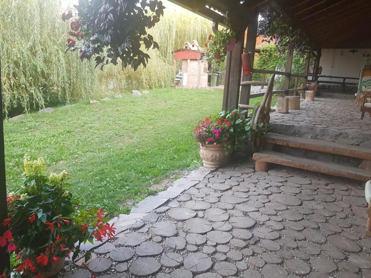 Vila Sura Razoare Sighişoara Exterior foto